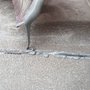 utěsnění dilatačních spár v betonu.